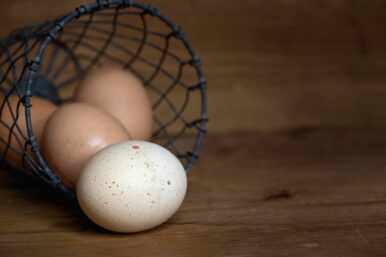 Deshalb haben Eier verschiedene Farben