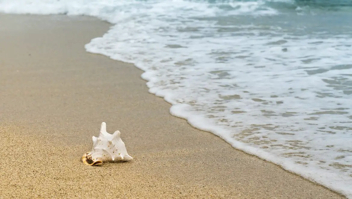 Die Gezeiten sorgen für Ebbe und Flut am Strand