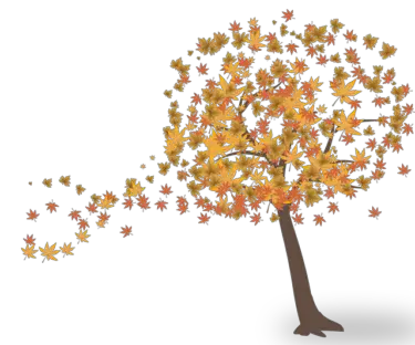 Das Herbstlaub fällt vom Baum