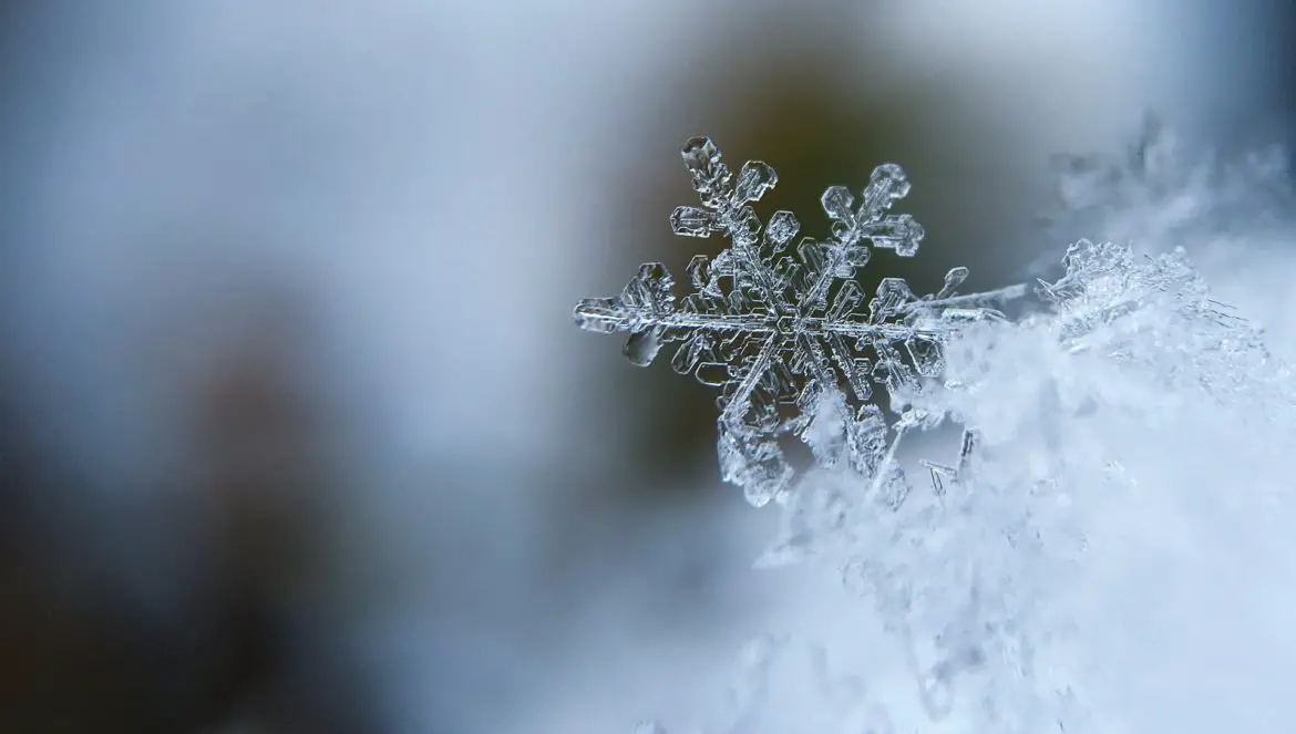 Schneit es, so entstehen Eiskristalle in vielen Formen