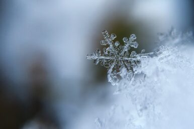 Schneit es, so entstehen Eiskristalle in vielen Formen