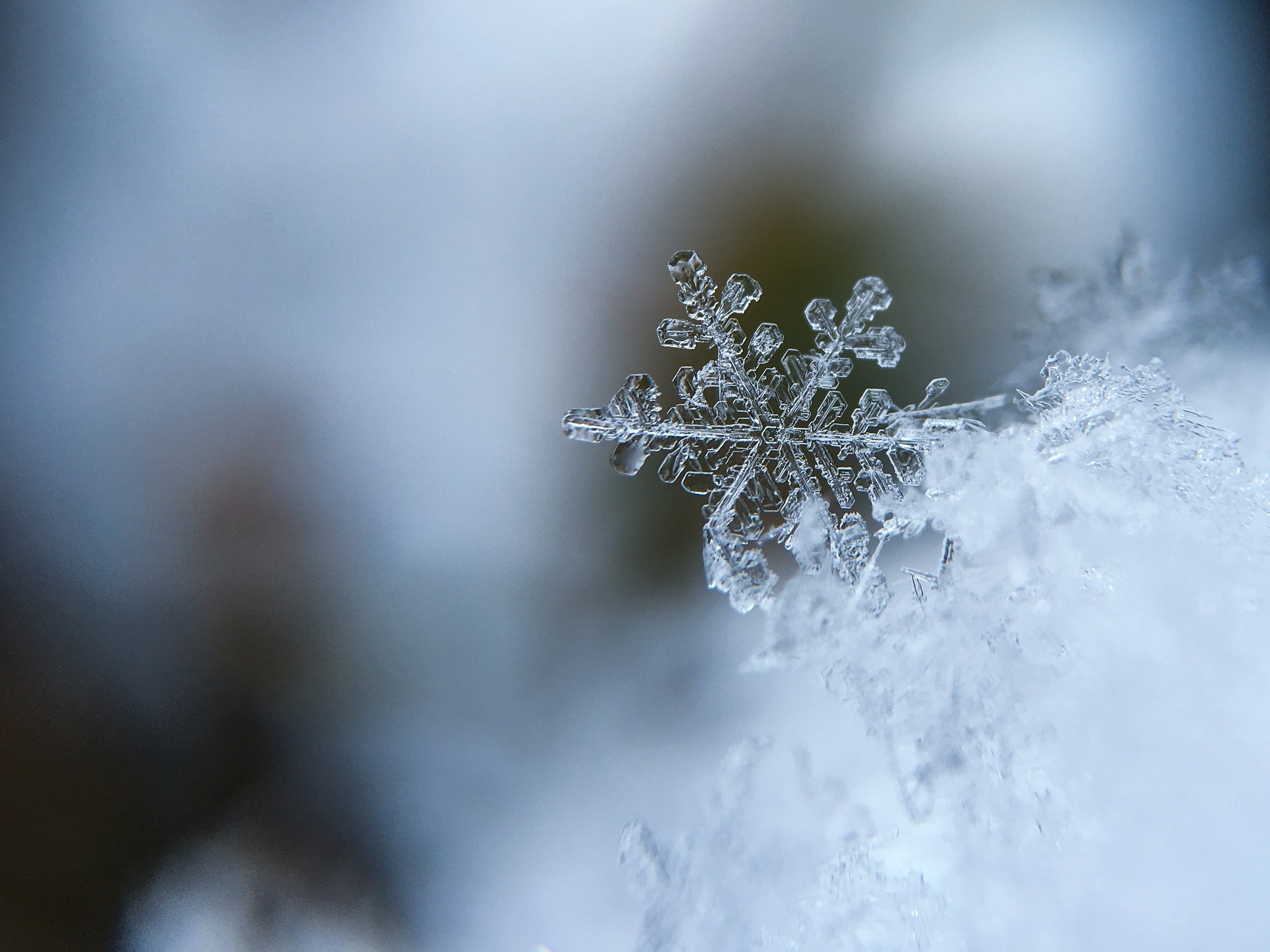 Ab Wieviel Grad Schneit Es Warum schneit es im Winter? - einfach erklärt