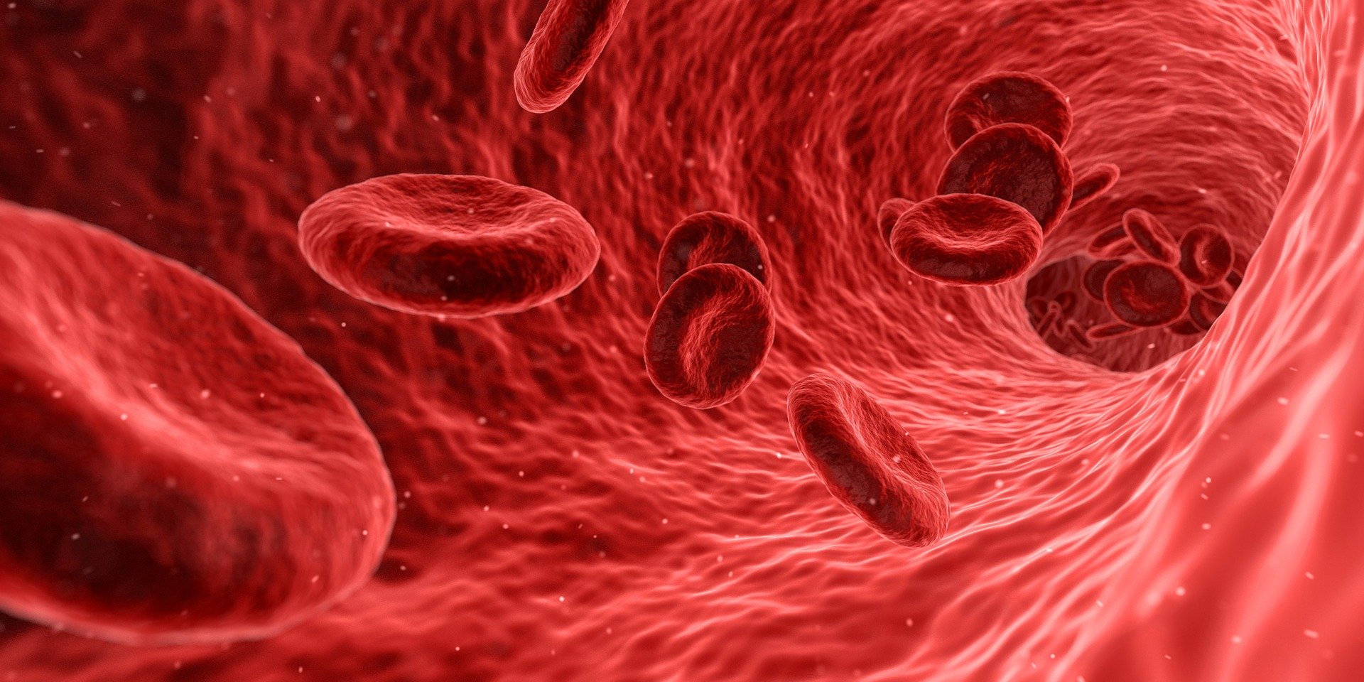 Blut Schmeckt Nicht Nach Eisen