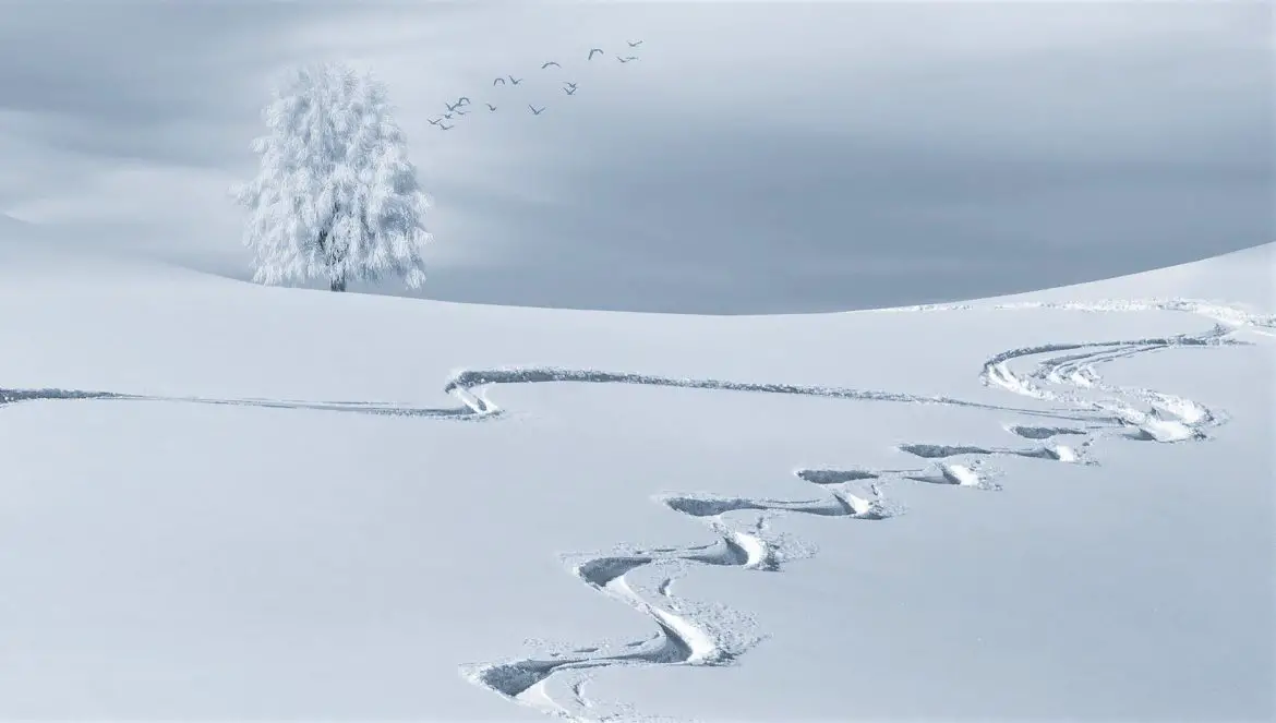 Warum Schnee weiß ist erklärt