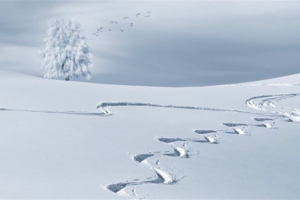 Warum Schnee weiß ist erklärt