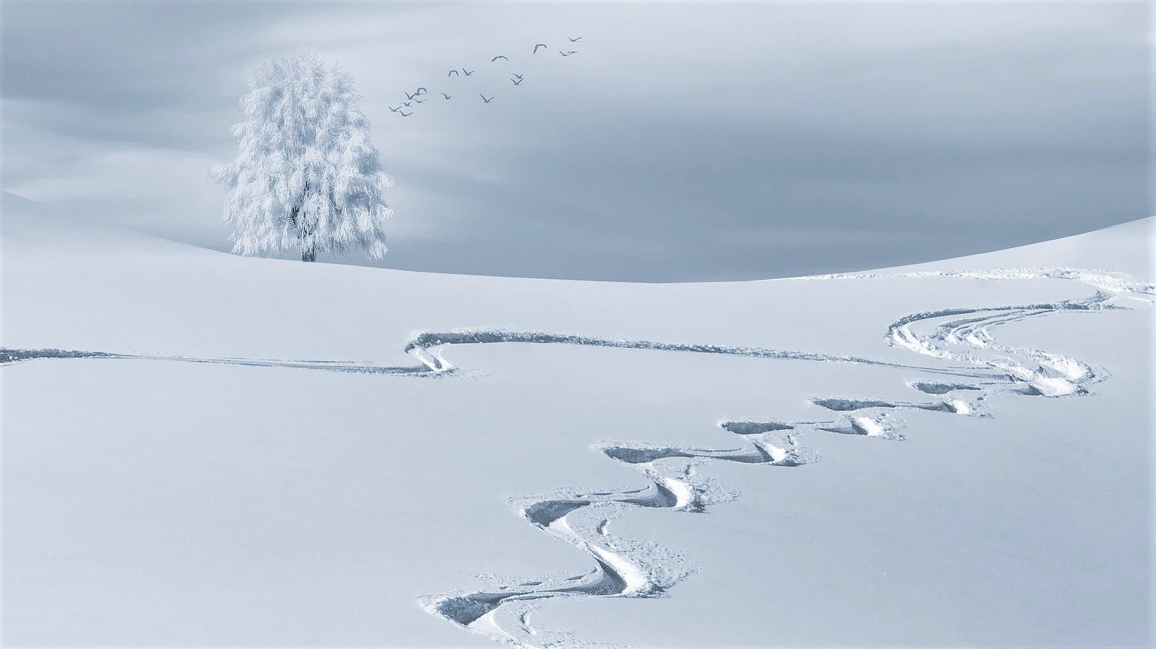 Warum ist Schnee weiß? - Die Farbe der Schneekristalle erklärt
