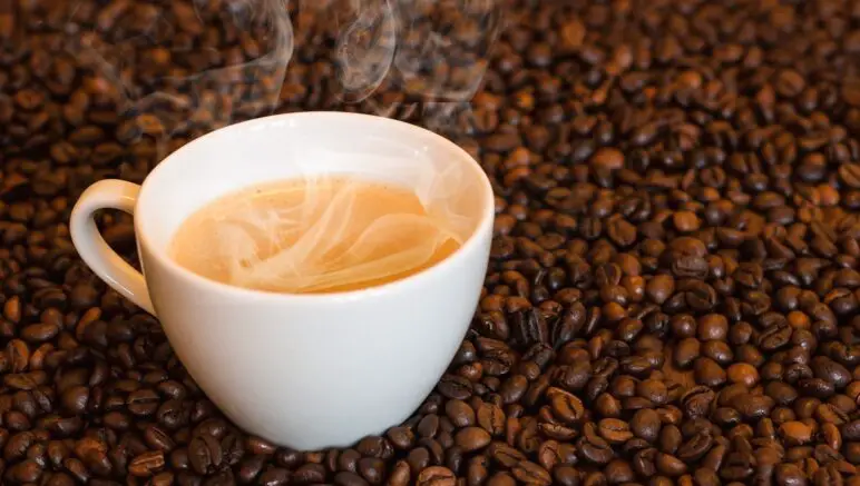 Warum macht Kaffee wach - die Erklärung